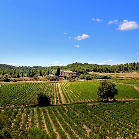 Domaine De Palatz Guest House Laure-Minervois Bagian luar foto