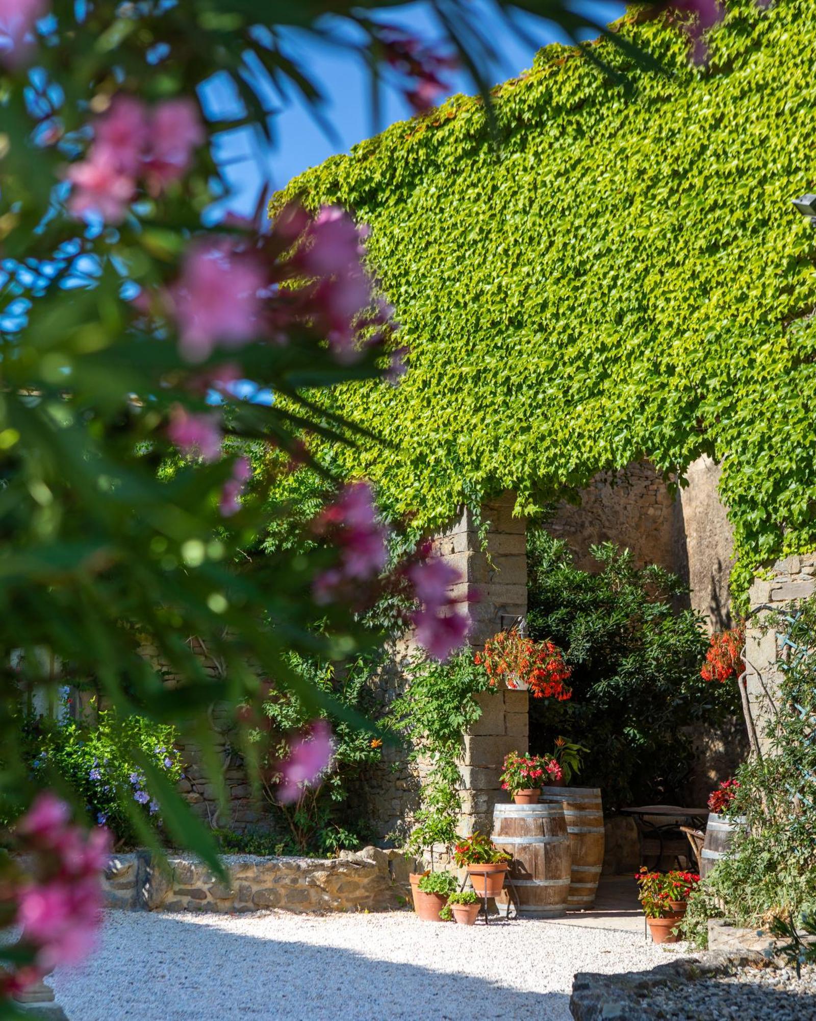 Domaine De Palatz Guest House Laure-Minervois Bagian luar foto