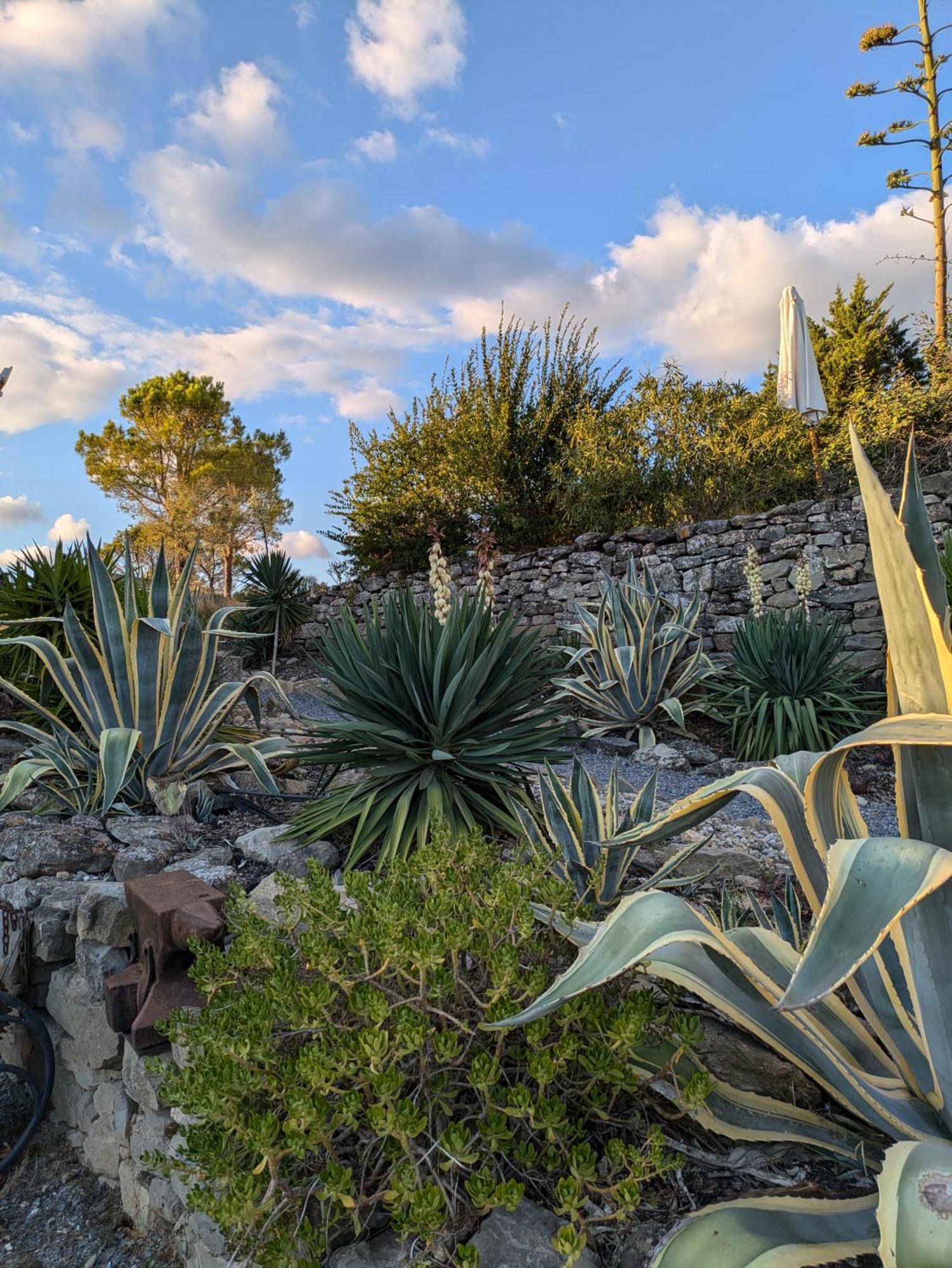 Domaine De Palatz Guest House Laure-Minervois Bagian luar foto