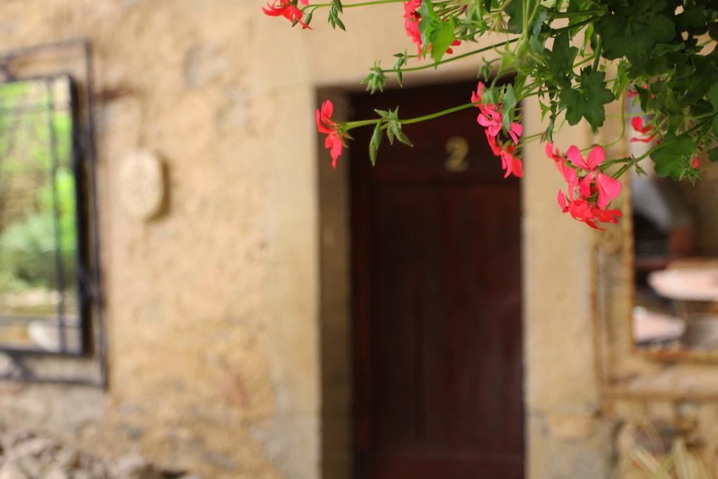 Domaine De Palatz Guest House Laure-Minervois Bagian luar foto
