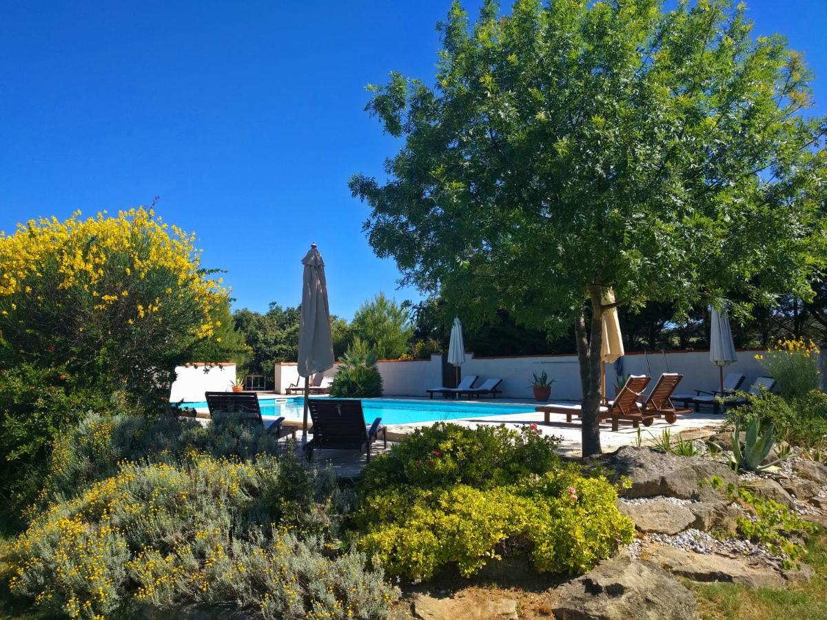 Domaine De Palatz Guest House Laure-Minervois Bagian luar foto