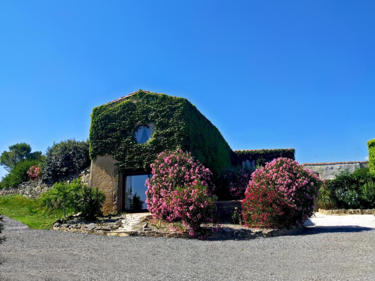 Domaine De Palatz Guest House Laure-Minervois Bagian luar foto