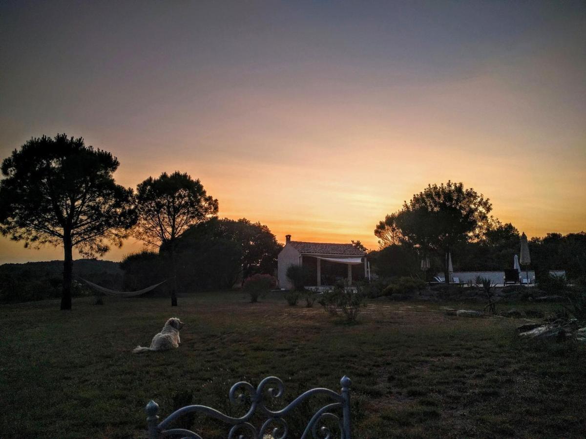Domaine De Palatz Guest House Laure-Minervois Bagian luar foto