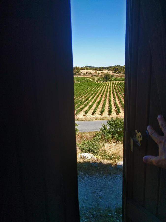 Domaine De Palatz Guest House Laure-Minervois Bagian luar foto