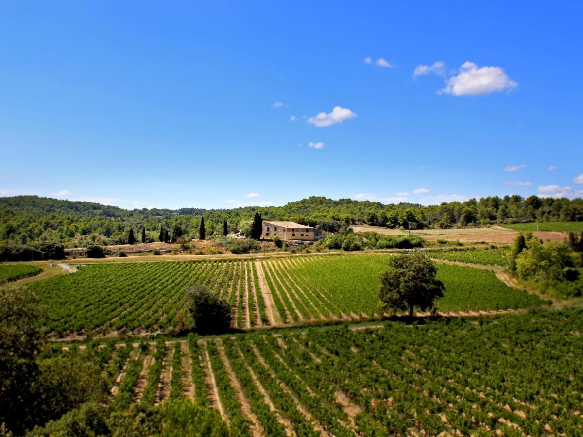 Domaine De Palatz Guest House Laure-Minervois Bagian luar foto